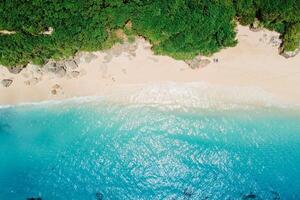 Paradise sandy beach with turquoise ocean in Bali. Aerial view photo