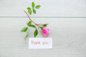 light wooden background with bright pink roses photo