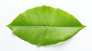A single leaf, captured in stunning detail. The veins and edges of the leaf areQing Xi Ke Jian , and the leaf's vibrant green color is a testament to the power of nature. photo