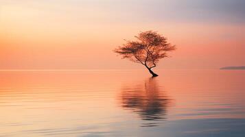 A single tree in the middle of a lake at sunset with a beautiful sky and clouds. photo
