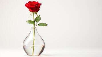 Elegant glass vase with a single red rose, isolated on pure white, soft shadows underlining simplicity. photo