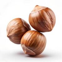 Three Whole Hazelnuts Isolated on White Background photo