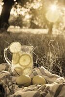 A pitcher of Lemonade and lemons on quaint picnic blanket photo