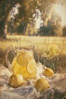 A pitcher of Lemonade and lemons on quaint picnic blanket photo