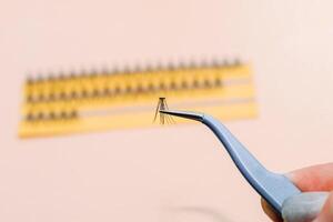 Artificial false fluffy eyelashes with tweezers. photo