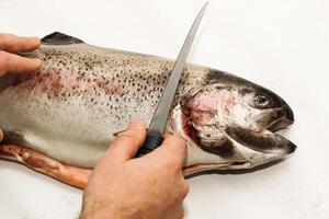 Fish red river trout, cleaning the scales, home cooking photo