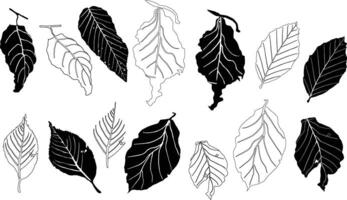 seamless pattern. seamless pattern leaf designs. vector