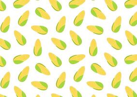 Corn pattern isolated .halves and grains in different angles on a white. Corn . vector