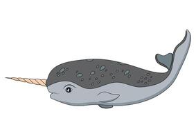 Narwhal Flat Designs, Isolated on White Background vector