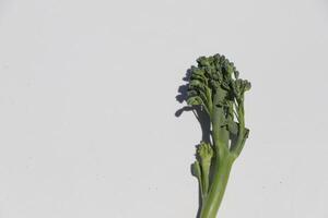 Bimi a new kind of vegetable also known as baby broccoli, asparagus broccoli. The taste is very good in between broccoli and asparagus photo