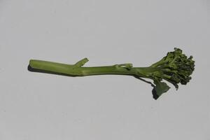 Bimi a new kind of vegetable also known as baby broccoli, asparagus broccoli. The taste is very good in between broccoli and asparagus photo