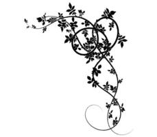 corner elegant branch for decorating printing for vector