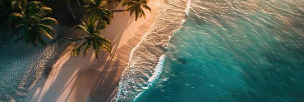 Aerial view azure waters ocean palm trees on beach photo