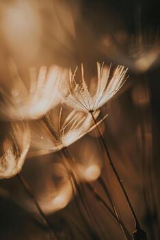 Arte Nouveau diente de león en beige marrón tonos foto