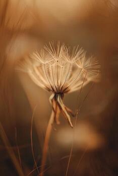 Arte Nouveau diente de león en beige marrón tonos foto