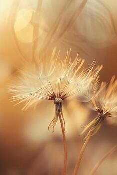 Arte Nouveau diente de león en beige marrón tonos foto