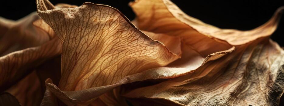 seco flor pétalo textura en negro fondo, elegante naturaleza detalle foto