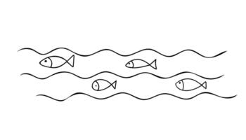 Fishes swimming in sea waves. Hand drawn simple line art. Marine illustration in doodle style isolated on white background. vector