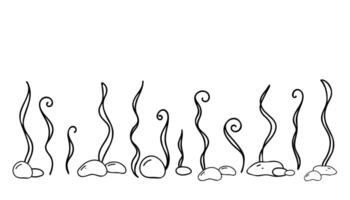 Horizontal Seabed, Marine Composition. Seaweeds and Stones. Hand drawn simple line art. Nautical illustration in Doodle style isolated on white background. vector