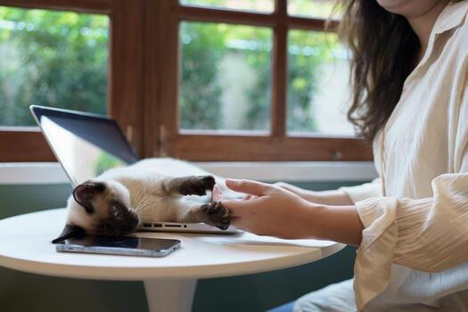 mujer trabajando desde hogar con gato. gato dormido en el ordenador portátil teclado. asistente gato trabajando a ordenador portátil foto