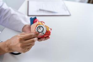 médico con anatómico modelo de humano corazón cardiólogo apoyos el corazón. corazón diagnosticar médico chequeo cardiólogo en examen habitación foto