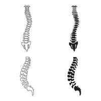 Spine icon design vector