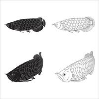 Arowana fish icon vector