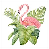 Pink flamingo bird with banana and palm tree branches with monstera leaves watercolor composition. Hand drawn illustration isolated on white background. For tropical cards and beach holiday patterns vector