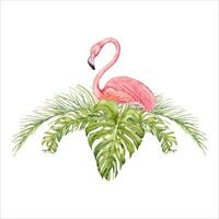 Pink flamingo bird with banana and palm tree branches with monstera leaves watercolor composition. Hand drawn illustration isolated on white background. For tropical cards and beach holiday patterns vector