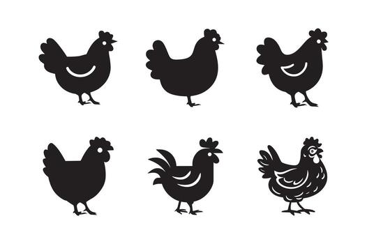 Set of icons chicken, graphics on white background vector