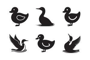 Silhouettes of Duck isolated on a white background. Set of different loon silhouettes vector