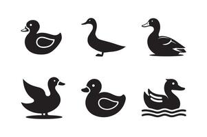 Silhouettes of Duck isolated on a white background. Set of different Duck silhouettes vector