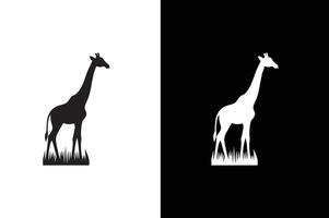 Giraffe silhouette illustration white black background. vector
