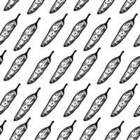 vintage Chili pattern for packaging design. chili peppers pattern background. vintage chili pepper seamless pattern background. doodle Spicy Pepper pattern. vector