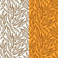 vintage Chili pattern for packaging design. chili peppers pattern background. vintage chili pepper seamless pattern background. doodle Spicy Pepper pattern. vector