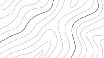 abstract wavy background. topographic contour background. contour lines background. Topographic map contour background. vector