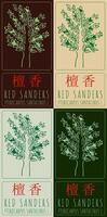 Set of drawing RED SANDERS in Chinese in various colors. Hand drawn illustration. The Latin name is PTEROCARPUS SANTALINUS L. vector