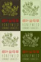 Set of drawing HONEYWEED in Chinese in various colors. Hand drawn illustration. The Latin name is LEONURUS SIBIRICUS L. vector