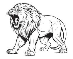 Roaring lion full size sketch hand drawn vector