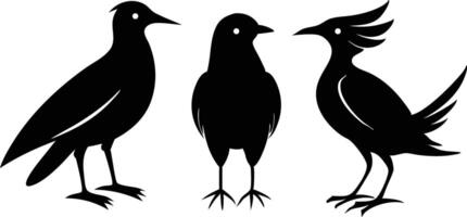 Bird silhouette set Elegant and Minimalist Design vector