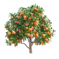 Orange Tree on Transparent Background AI-Generative png