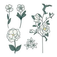 Set of 5 botanical elements featuring flowers and branches in pastel line-art, perfect for modern and elegant designs vector