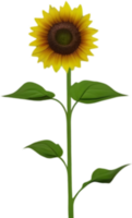 Sunflower clipart for creative projects. AI-generated. png