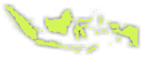 indonésio mapa dentro verde cor, mapa do Indonésia, pode usar para aplicativo, arte ilustração, local na rede Internet, pictograma, infográfico ou gráfico Projeto elemento png