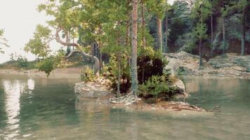 idyllic mountain getaway, with a sparkling lake and verdant foliage photo