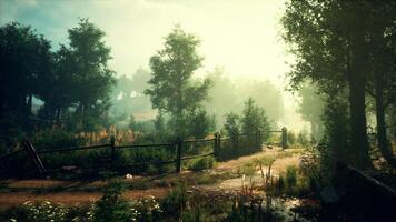 A serene forest path with a rustic fence in the foreground photo