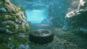 Underwater View of a Sunken Tire and Marine Life photo