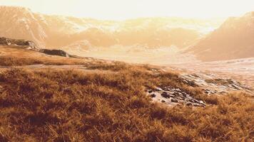 Grassy Field With Majestic Argentine Mountains photo