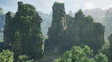 A serene forest landscape with a cluster of rocks at its center photo
