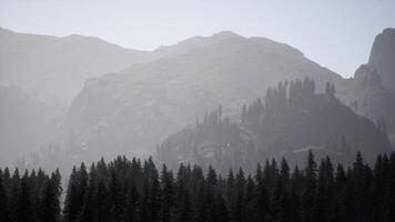 A mountain range with trees in the foreground and fog in the background photo